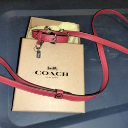 Coach Collar And Leash! Leather Excellent Used Condition$60 Firm
