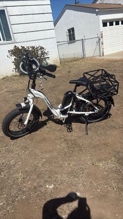 Rad Power Electric Bike