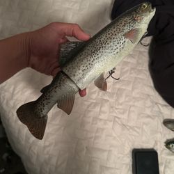 Trout Swimbait