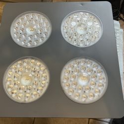 Platinum Led Veg Bloom XML Grow Light.