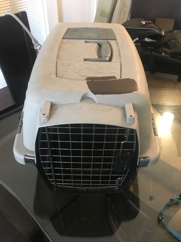 Taxis In Boynton Beach Fl The Best Beaches World Pet Mate Taxi Dog Cat Carrier For In Boynton Beach Fl