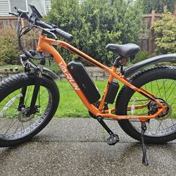 Varun Electric Mountain Bike. Read description! Negotiable!