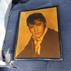 Memorable Pictures Of Elvis 