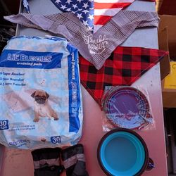 Accessories For Puppies 