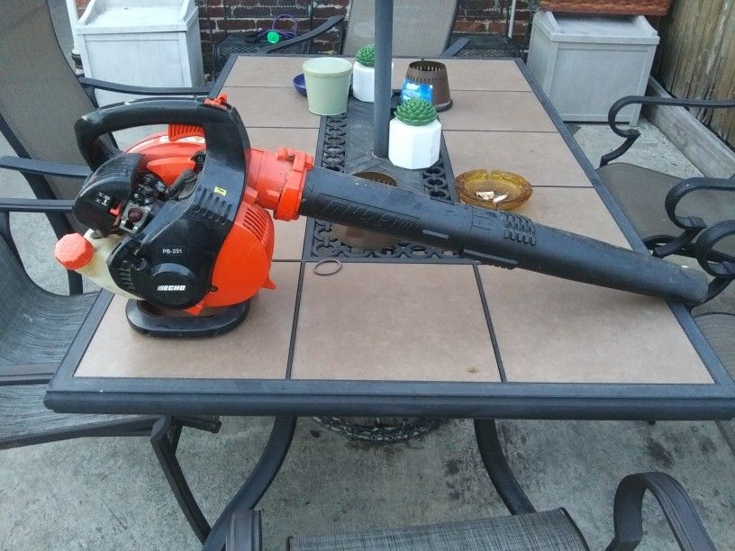 Echo Leaf Blower