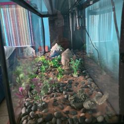 36 Gallon Aquarium With Stand