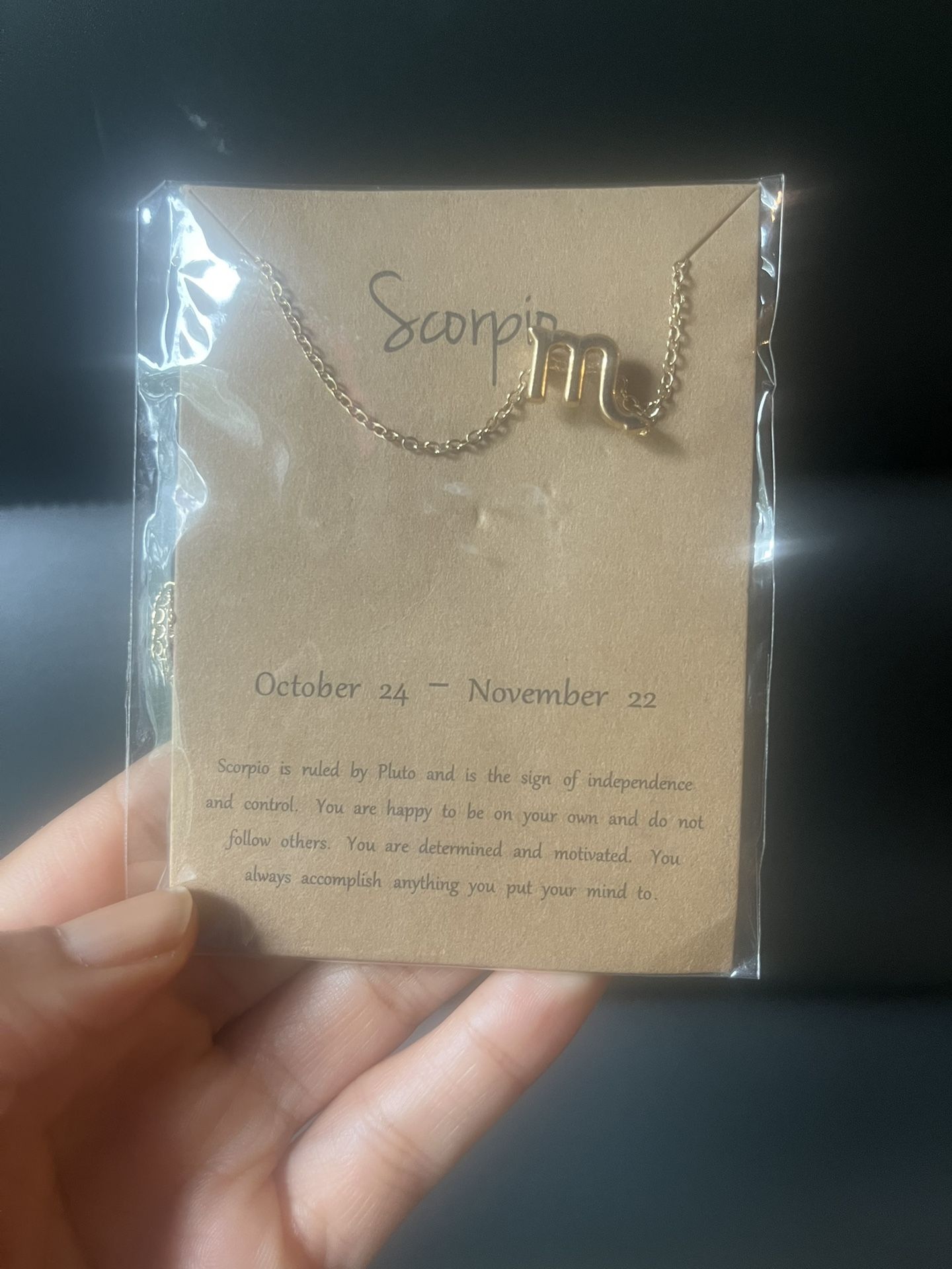 Scorpio Horoscope Necklace