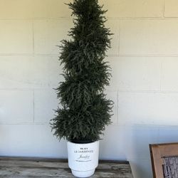 46” Tall Topiary and Pot