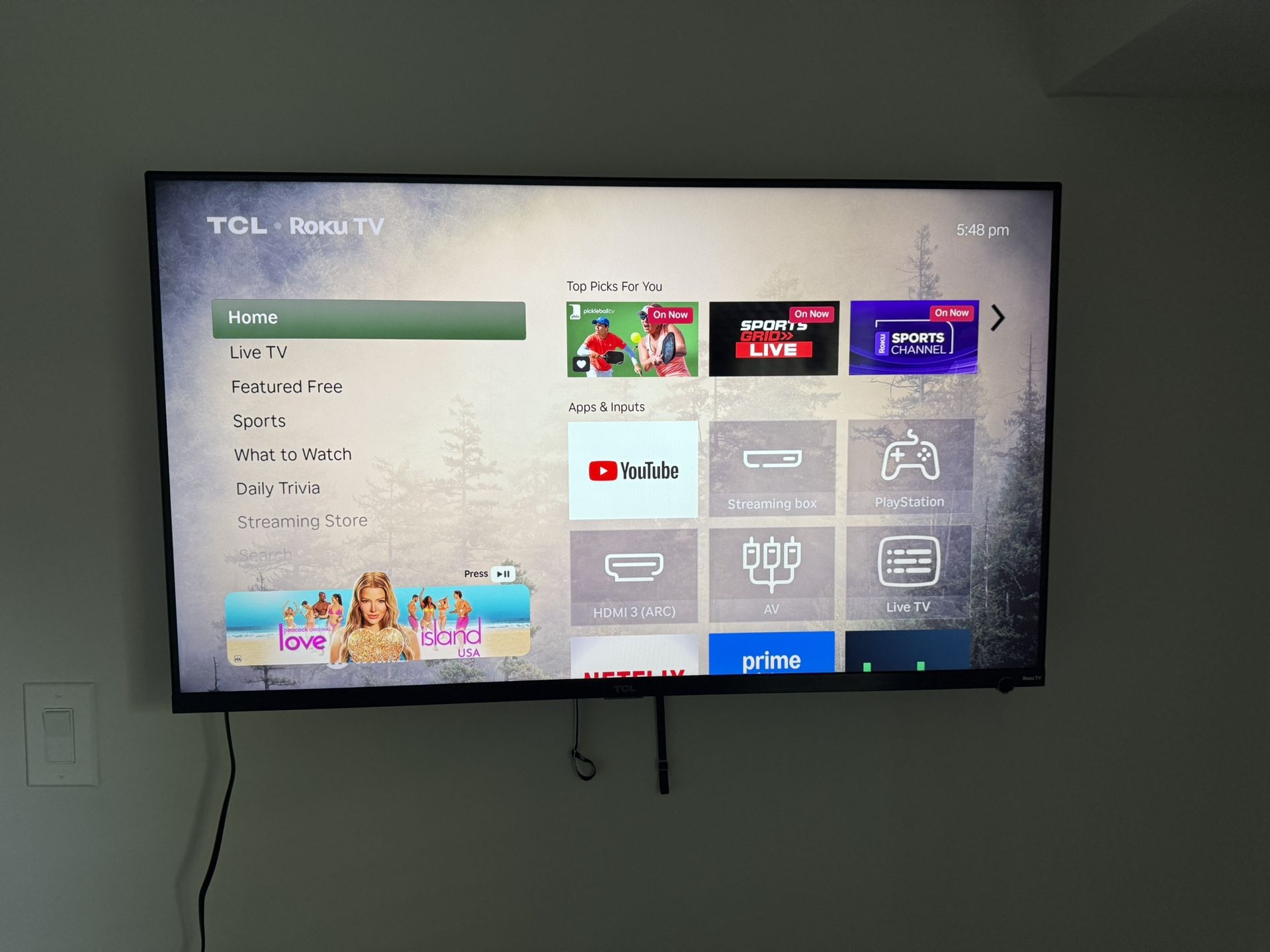 TCL Roku 43” TV