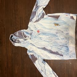 Supreme/The North face Hoodie 