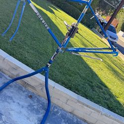 Schwinn Collegiate 3