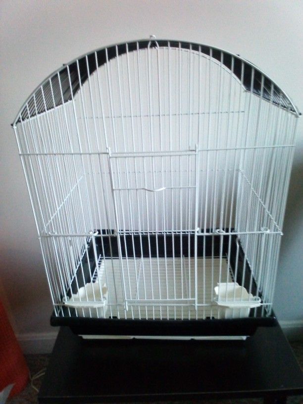 Bird Cage