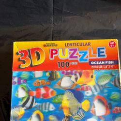 Puzzle 3 D 100 Piece Open Box