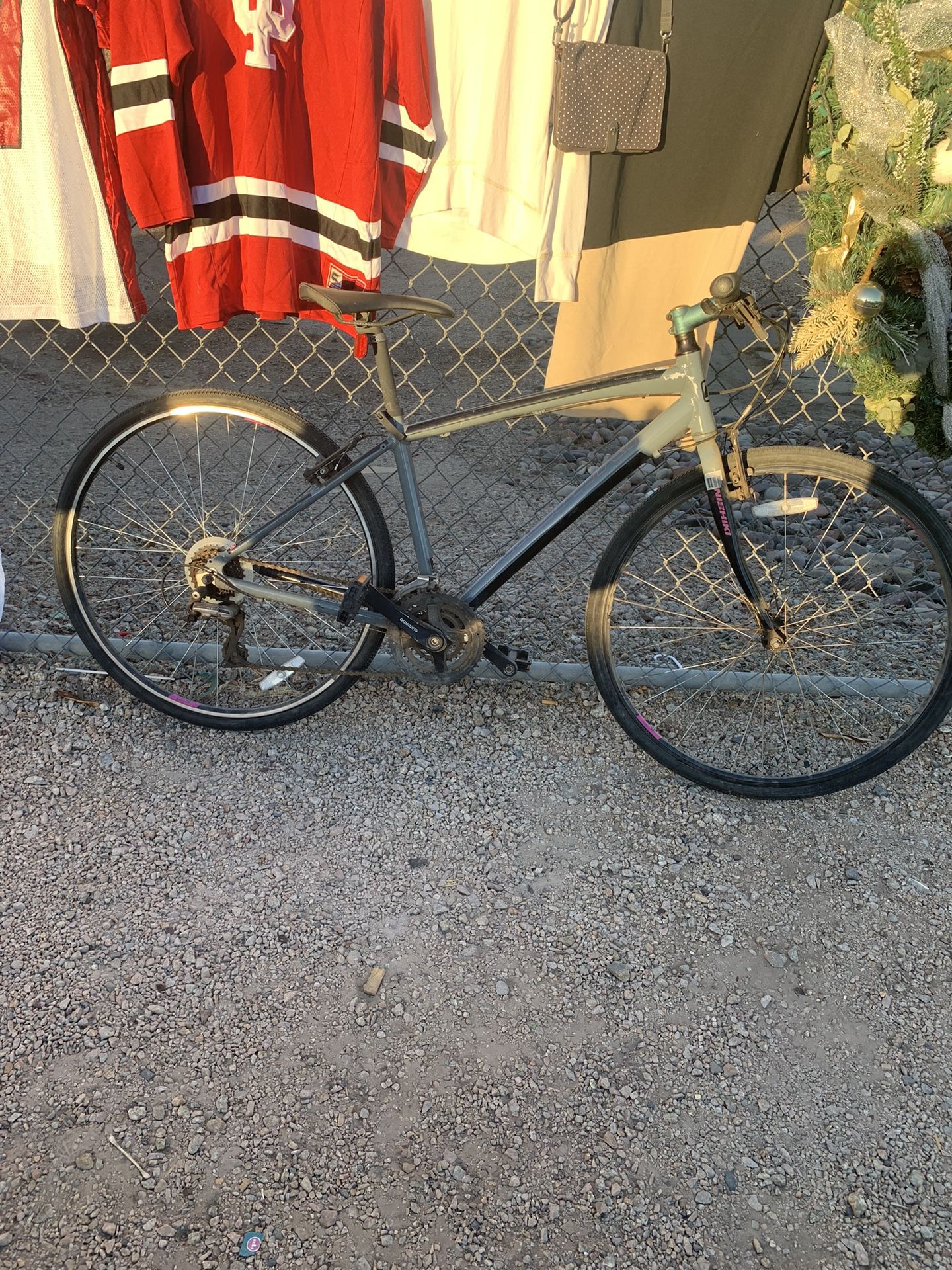 Nishiki Manitoba 700c