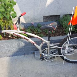 Adams Trail-a-Bike Folder