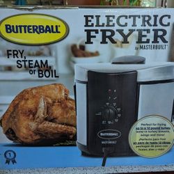 Electric fryer
