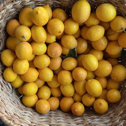 FRECH ORGANIC LEMONS