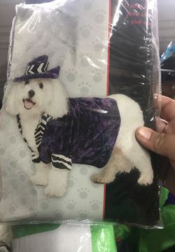 Pimp Dog costume