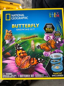 Butterfly grow kit