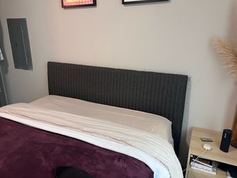 Modern Upholstered Queen Bed Frame with Gold Toned Legs