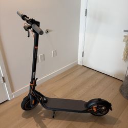 Segway Ninebot F40 