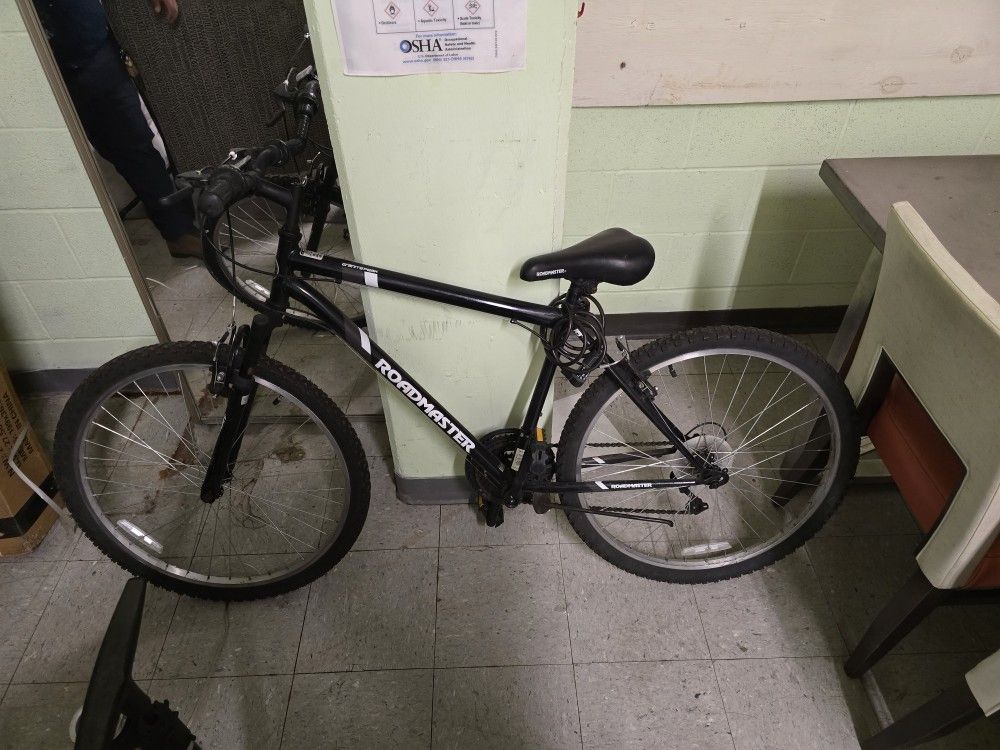 Bicycle Roadmaster