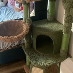Cat Tree 