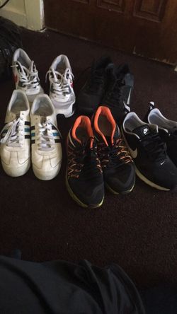 Shoes Size 13