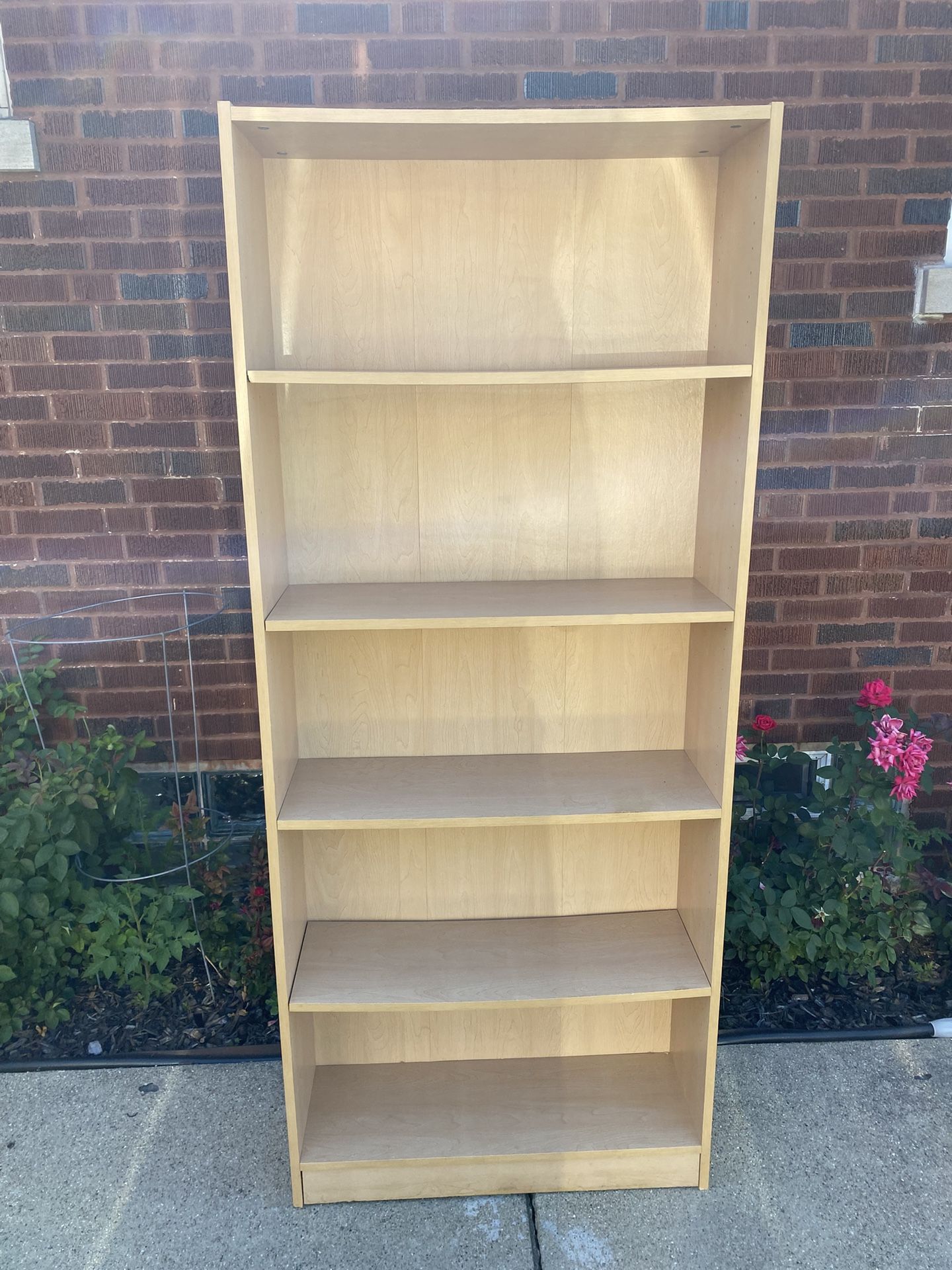 Book Shelf - 5’6” Tall