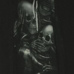 Skulls- Hoodie Shirt 