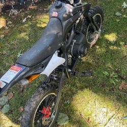 Pocket Bike For Sale 