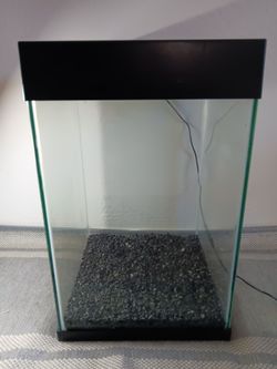 Top Fin 10-Gallon Tank 🐠