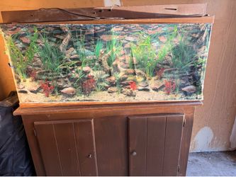65 gallon fish tank