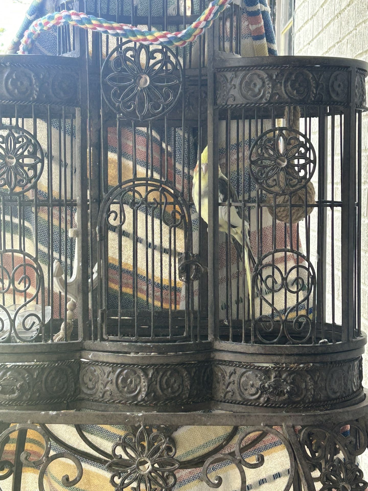 Birdcage