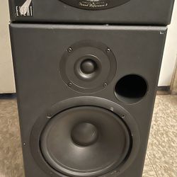 Event Monitor Speakers