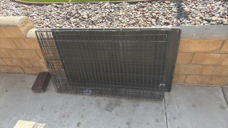 Kennel