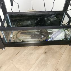 20 Gallon Fish Tank 