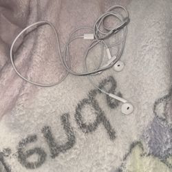 Apple Earphones
