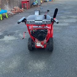 Troy-Bilt Storm 2410