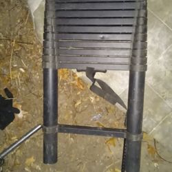 Telescope Ladder