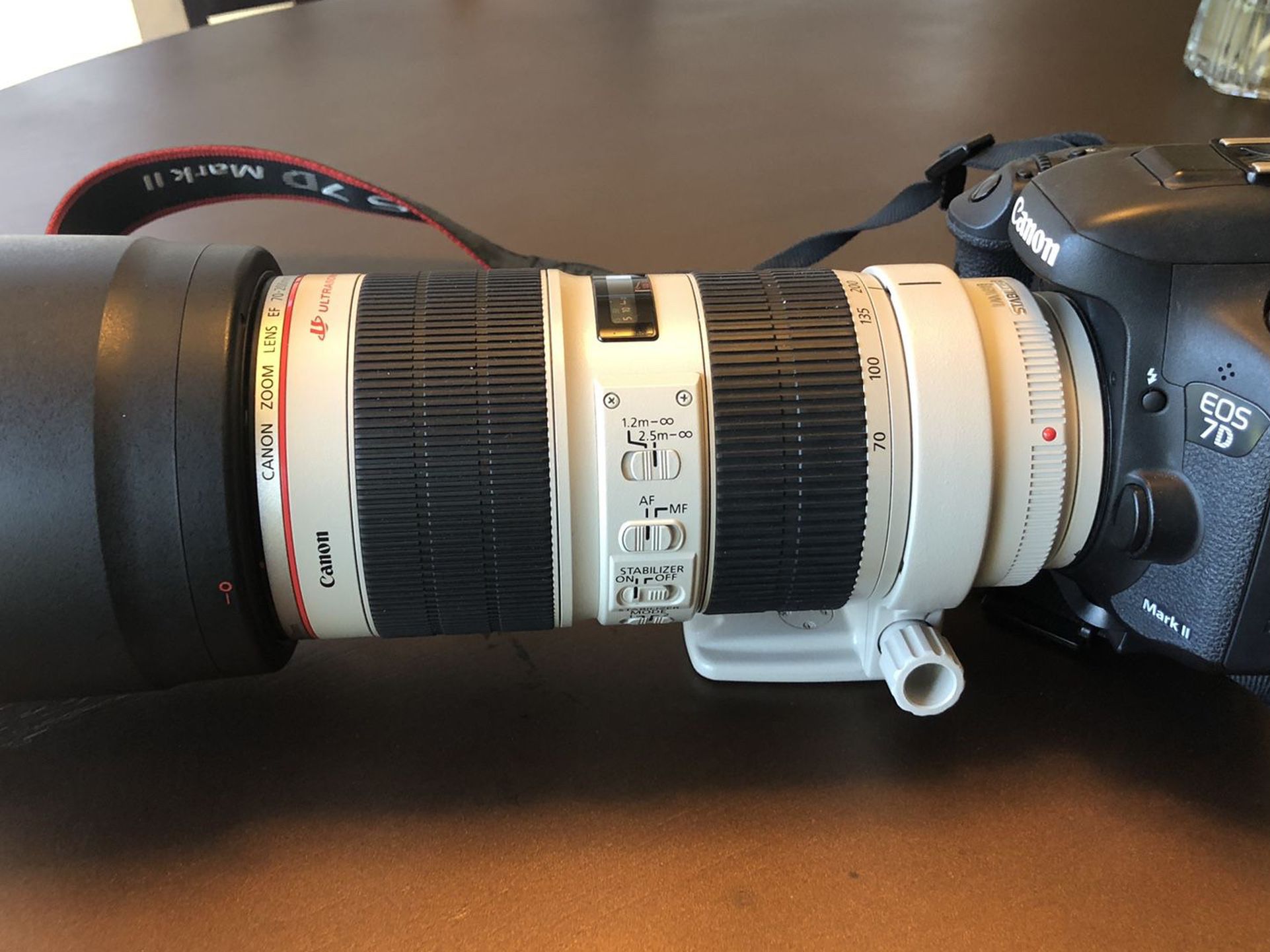 Canon EOS 7D Mark II with Canon 2.8L Image Stabilization 70-200 Zoom Lens
