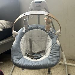 Ingenuity Baby Boy Swing 