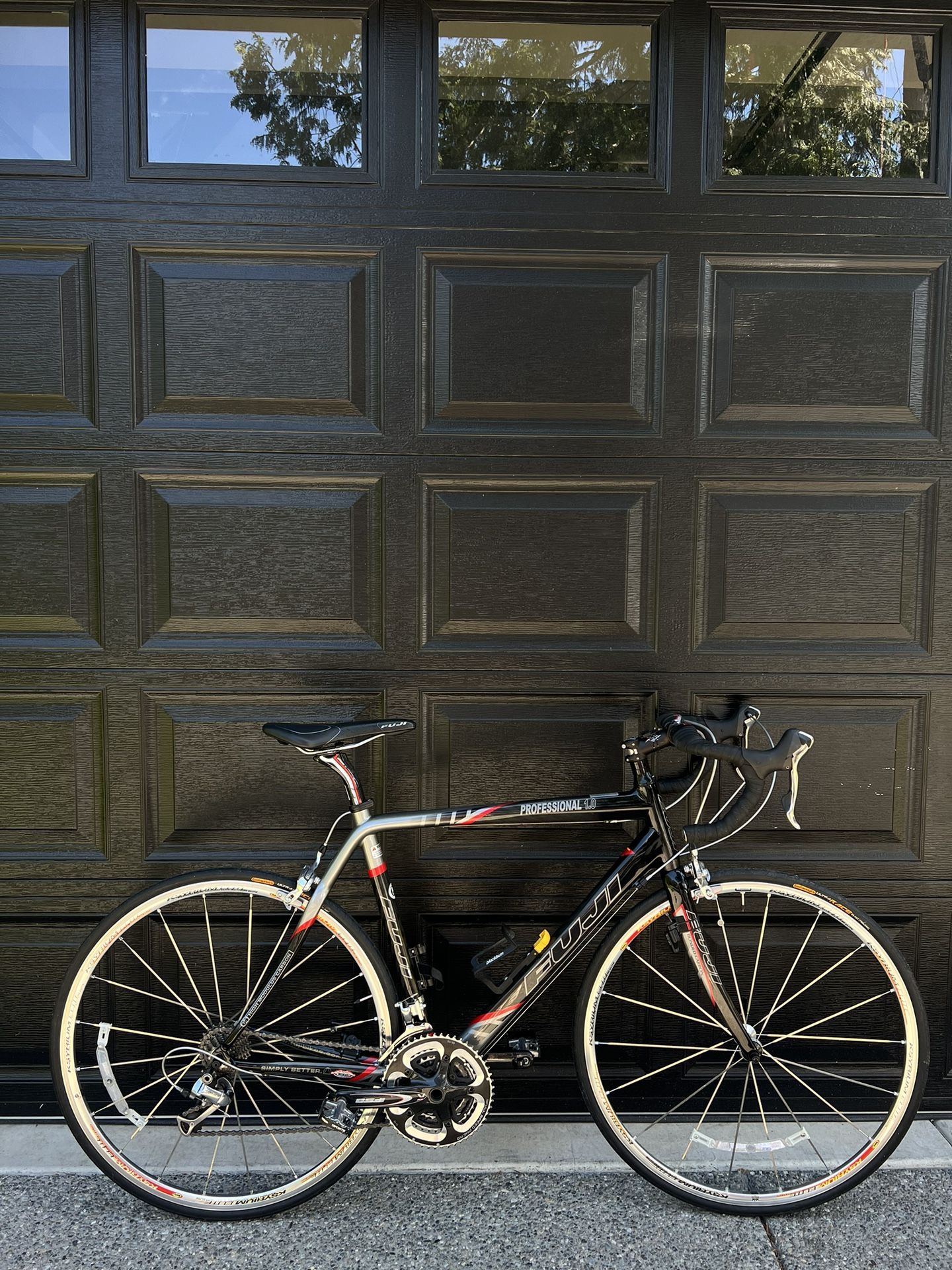 Fuji Professional 1.0 Full Carbon Road Bike