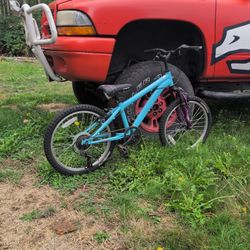 Kids Mongoose 20 Inch