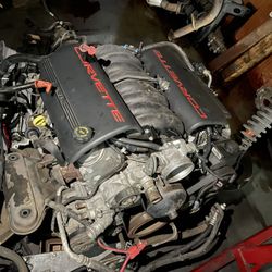 LS1 