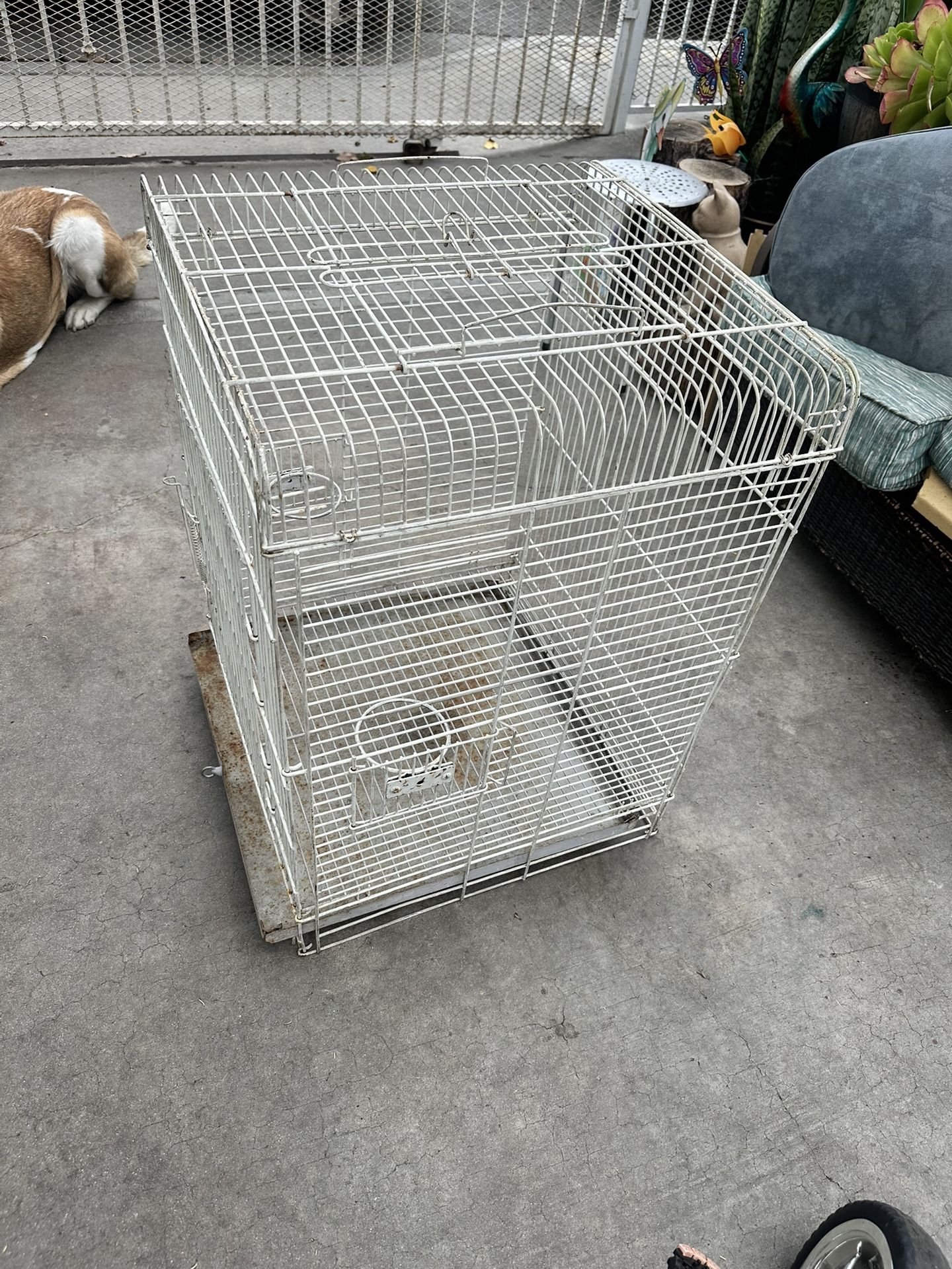 Bird Cage