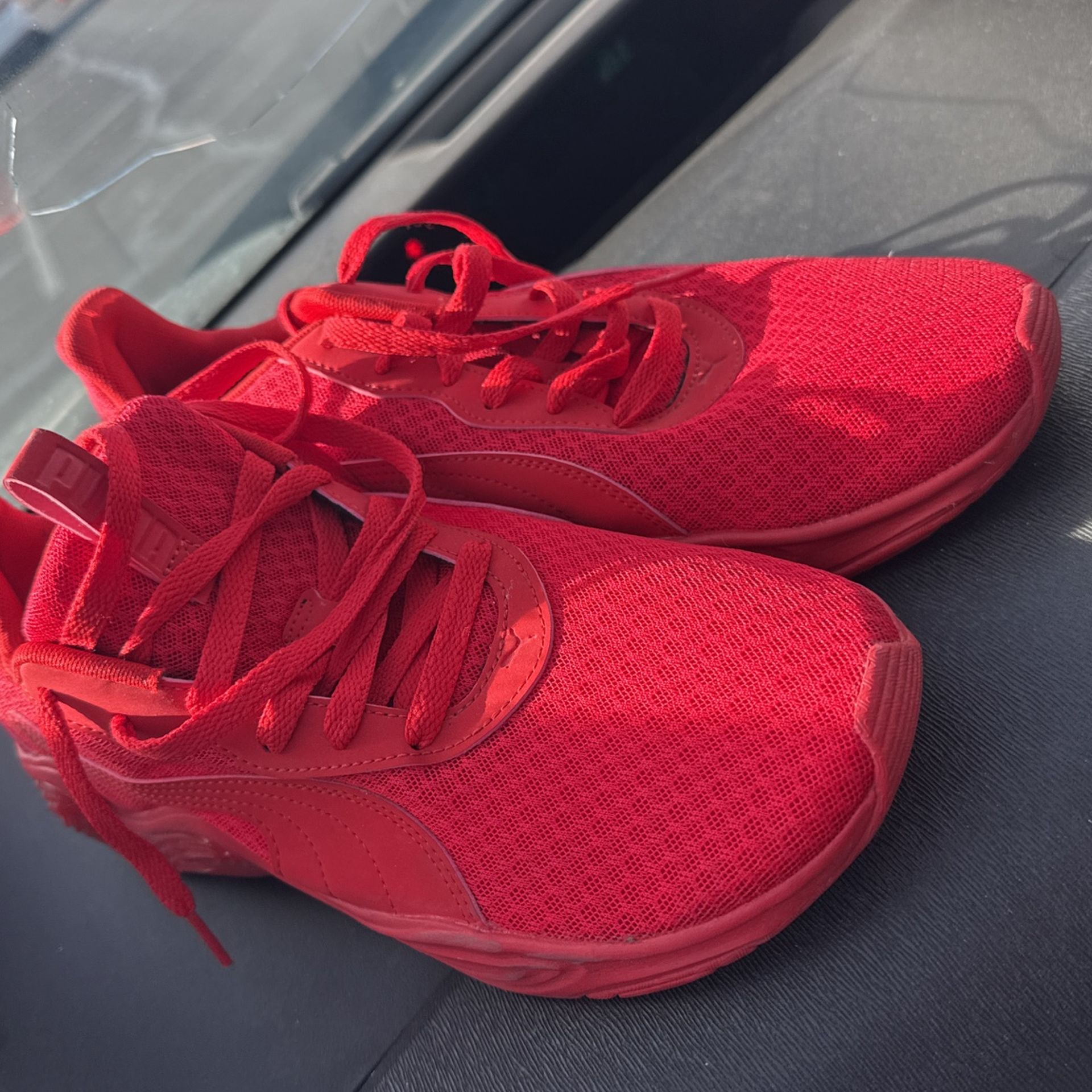 Red Pumas