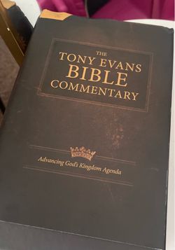 Bible commentary