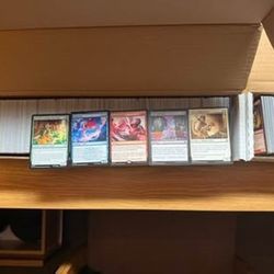 Magic The Gathering Bulk Box