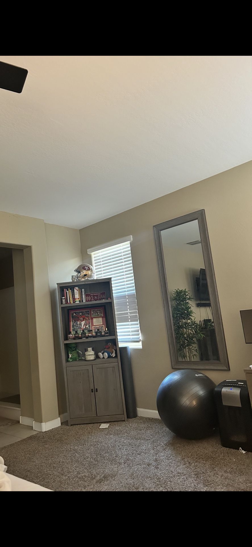 Bookshelf And Mirror